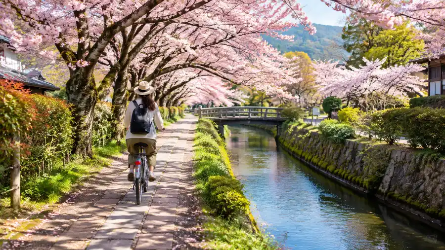 Biking the Philosopher's Path in Kyoto: A Cycling Guide