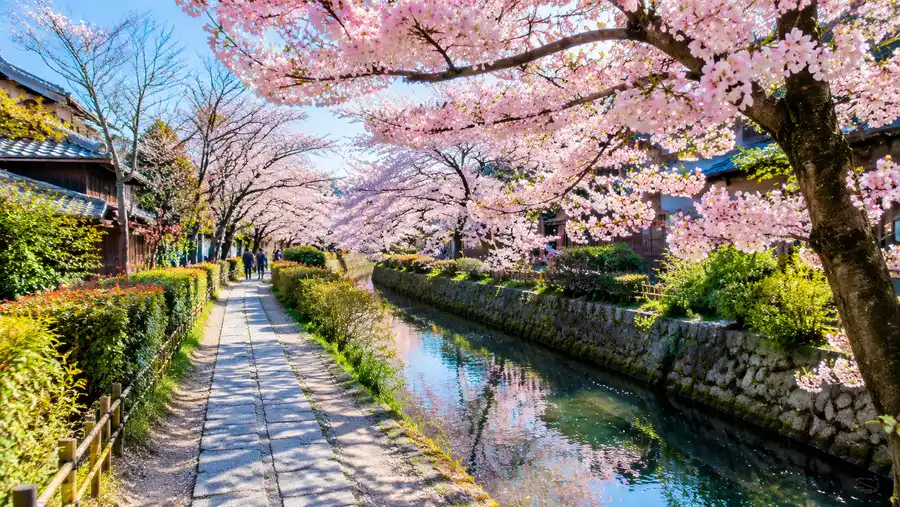 Getting to and Navigating Kyoto's Philosopher's Path