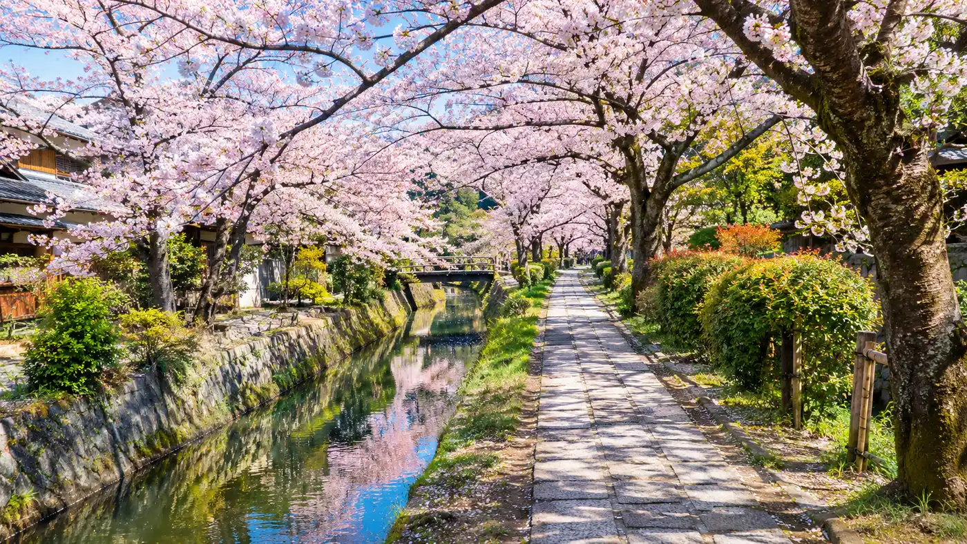 Getting to and Navigating Kyoto's Philosopher's Path