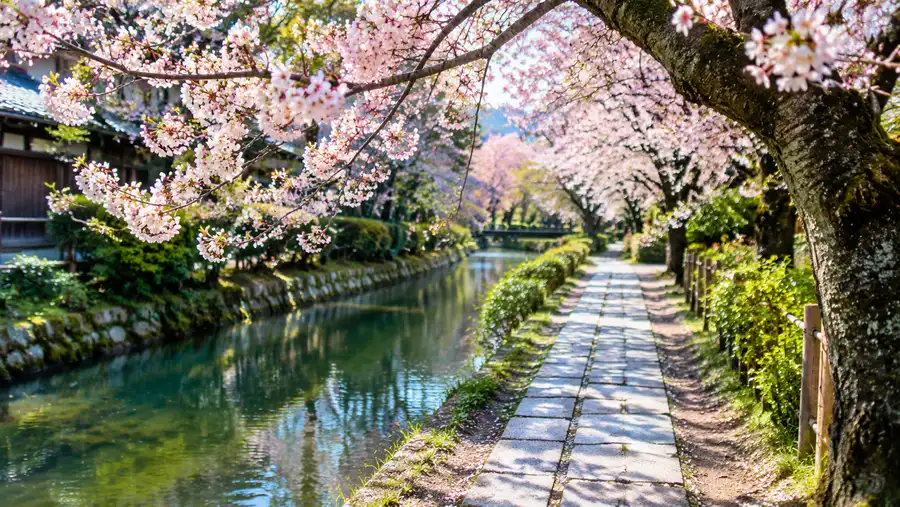 How Long is Kyoto's Philosopher's Path? Length & Walking Time
