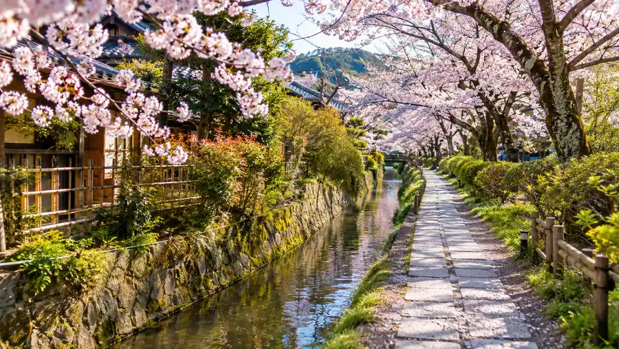 How Long is Kyoto's Philosopher's Path? Length & Walking Time