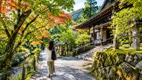 Visit Serene Temples